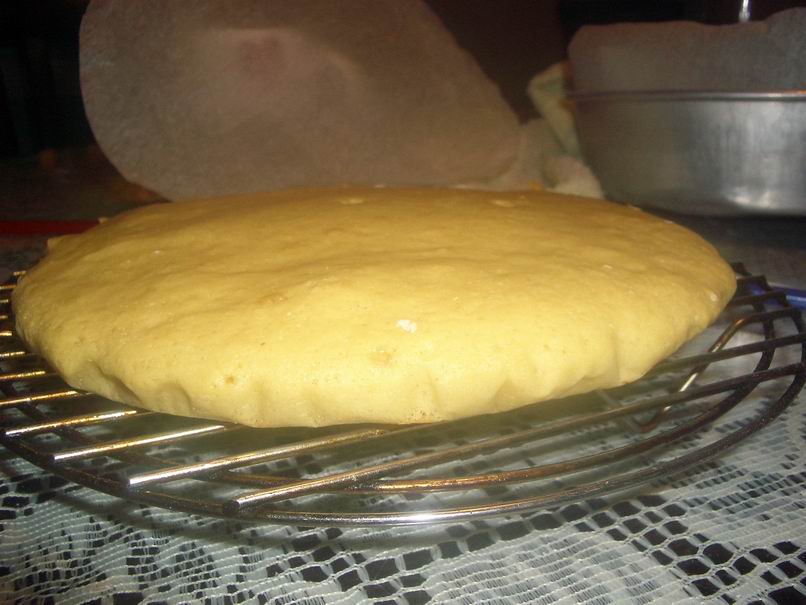 [Resize+of+IMGP0470.JPG]