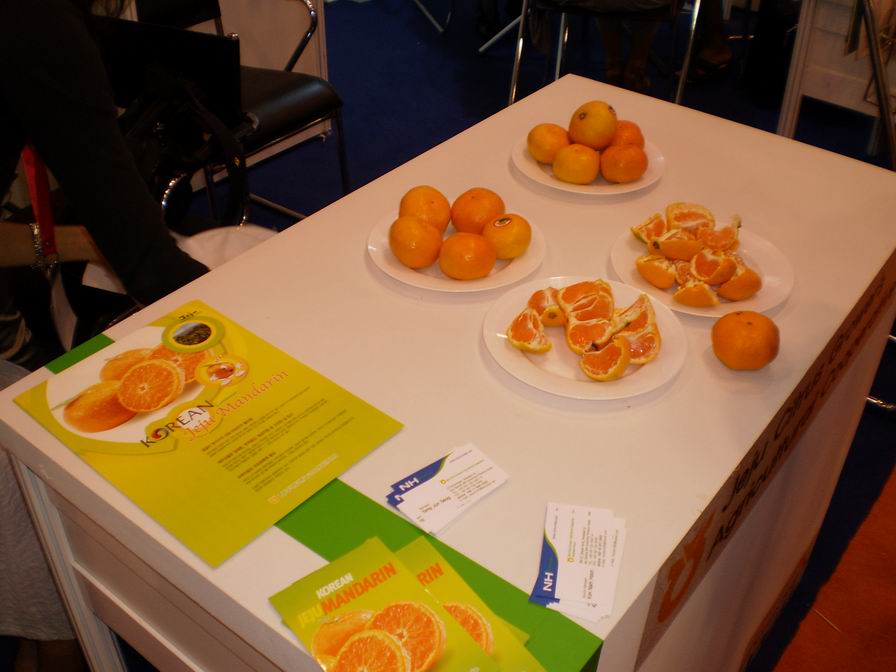 [Resize+of+P7290108.JPG]