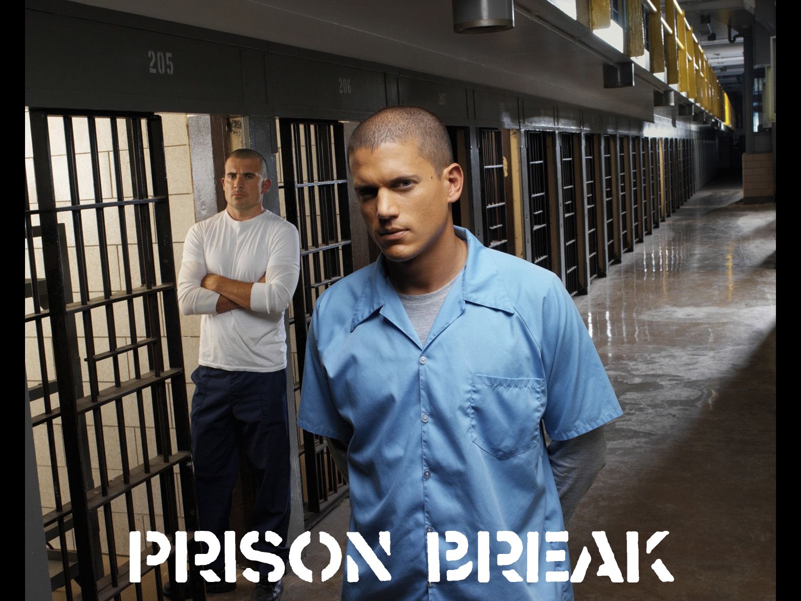 [prison+break.bmp]