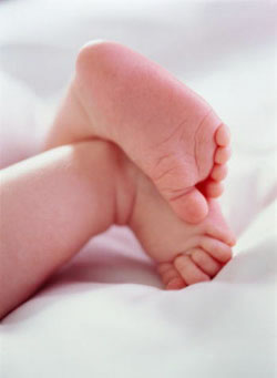 El tamizaje Neonatal, una técnica para la prevención de enfermedades congénitas en neonato