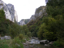 Intrarea în Cheile Turzii