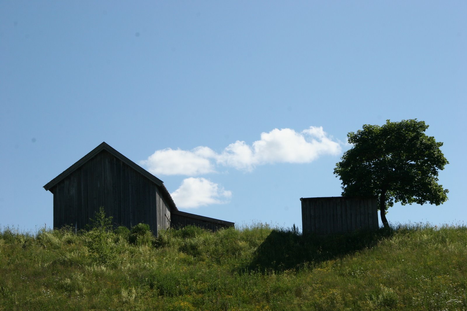 [IMG_9727.JPG]