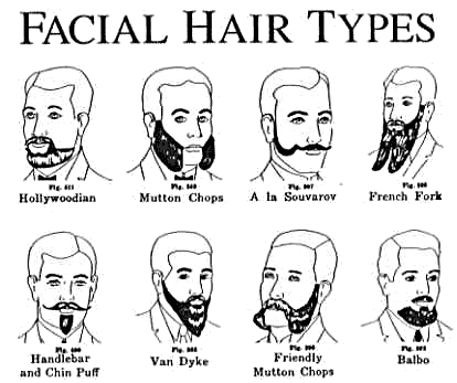 [facial-hair-chart-1.gif]