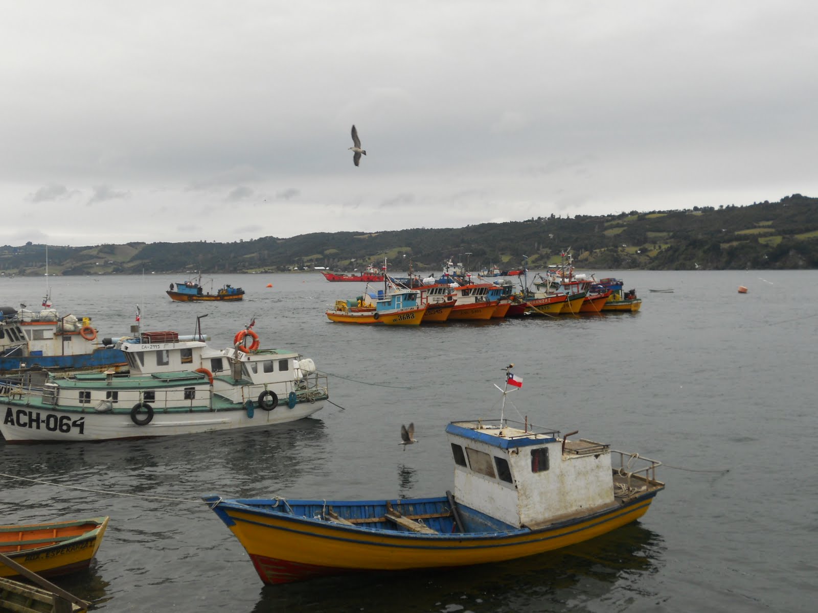 rencontre mer baltique et mer du nord