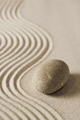 ikebana...arte zen: El Jardín zen