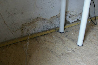 dmp lean-to downstairs