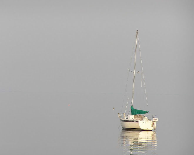Sailboat Reflection