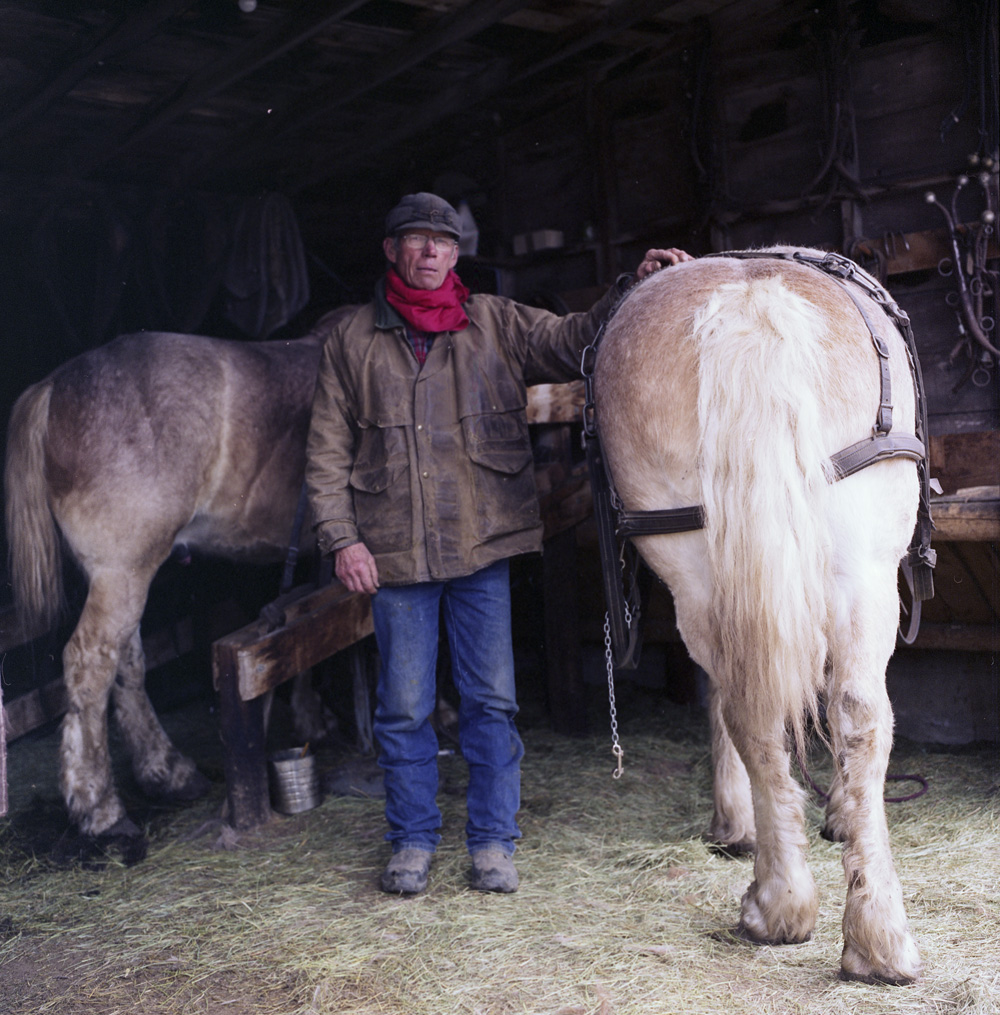 MSU Photography Draft Horse Team