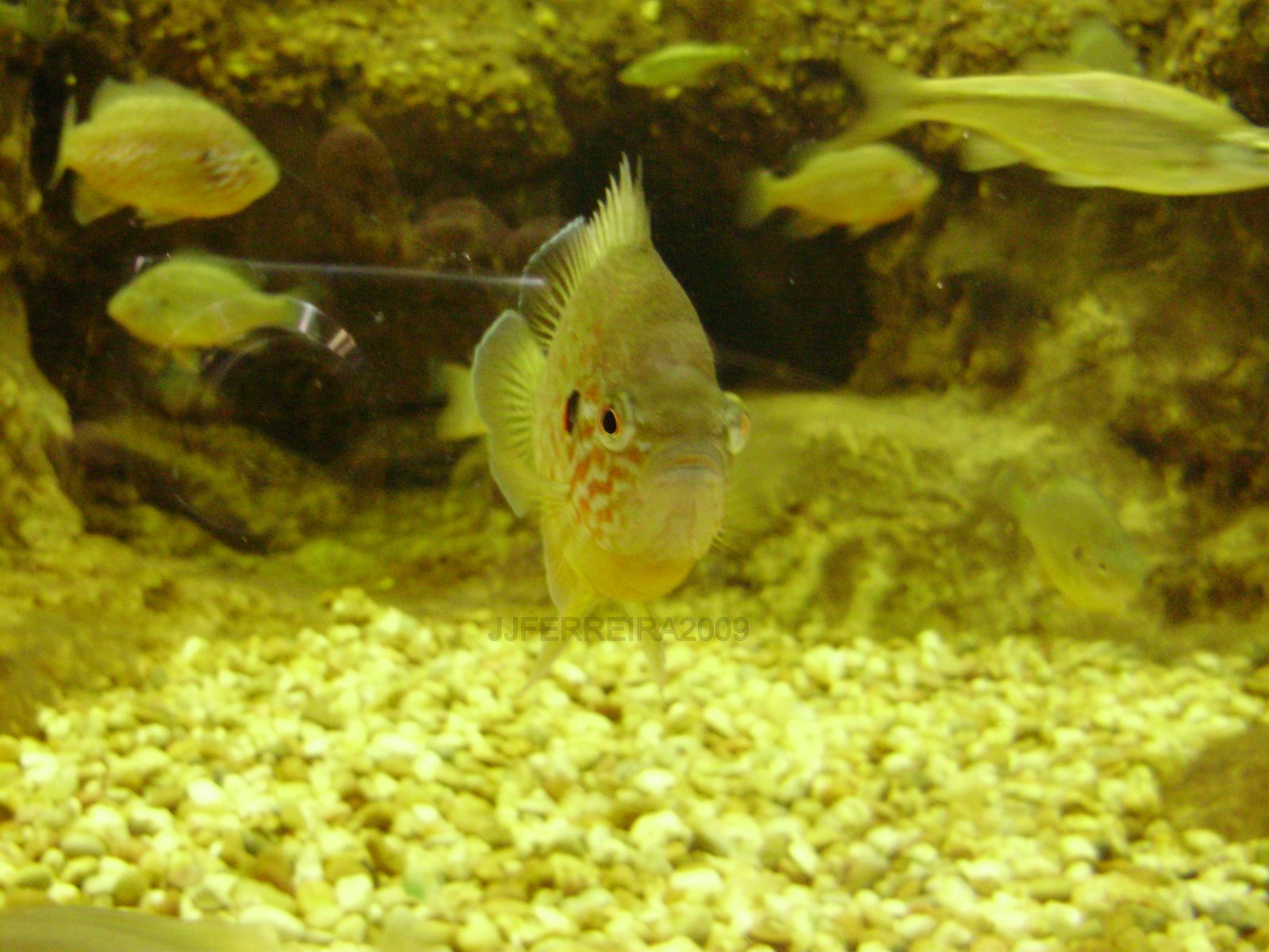 [P2080020.JPG]