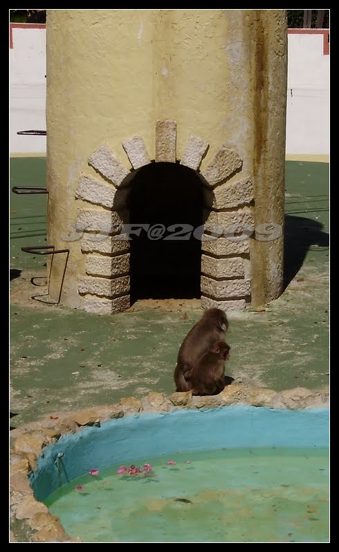 [Image60.jpg]