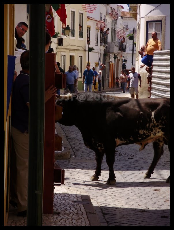 [Image155.jpg]