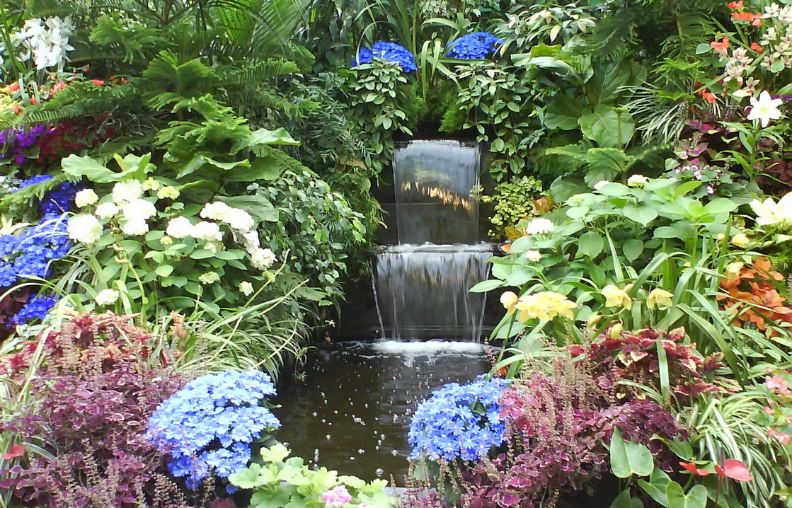 Indoor Aquatic Plants Aquatic Gardens
