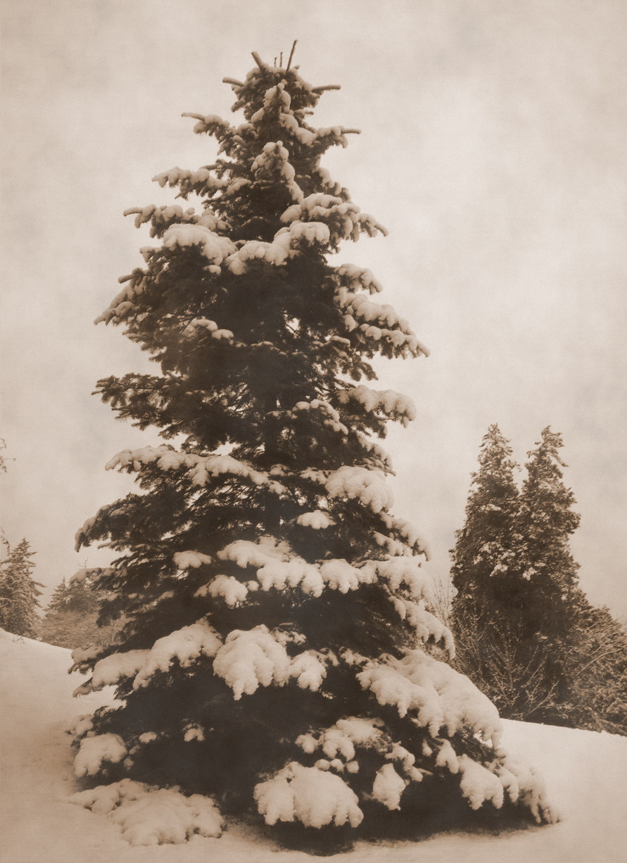 Romaniamagicland December By George Bacovia