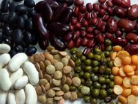 [dry_beans.jpg]