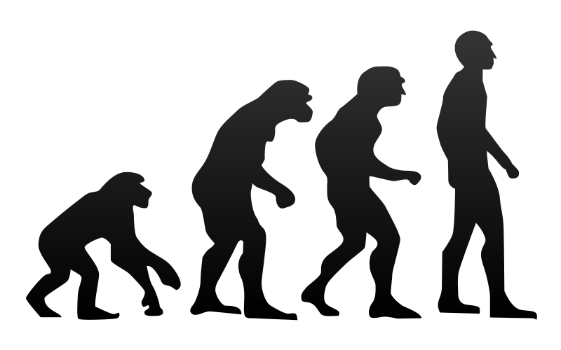 [Human_evolution..png]