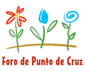 Foro de Punto Cruz
