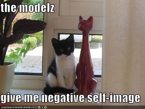 [funny-pictures-self-image-cat.jpg]