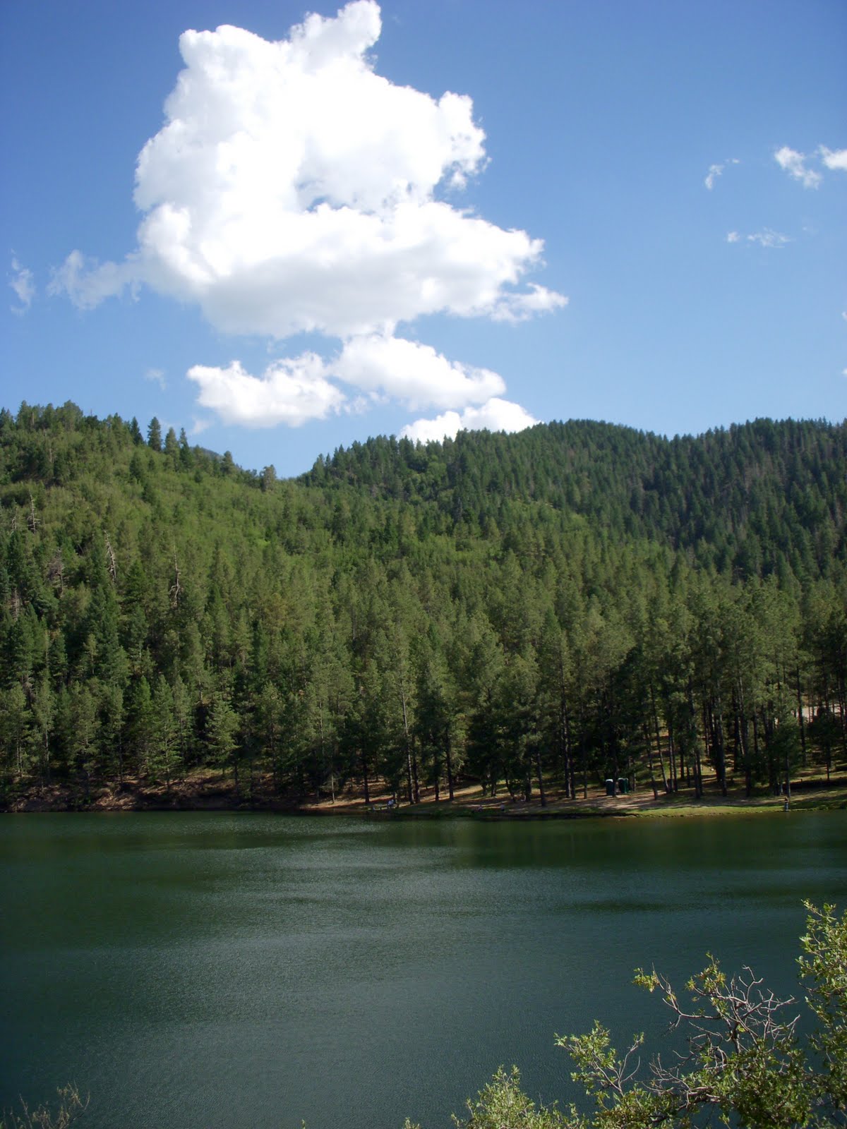 Bonito Lake Ruidoso Nm Fishing