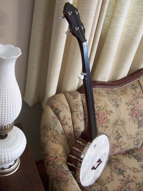 Fretless Banjo