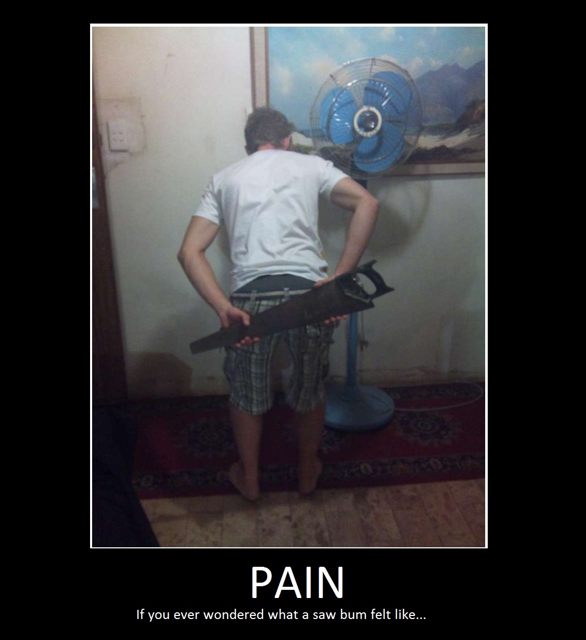 Saw Bum