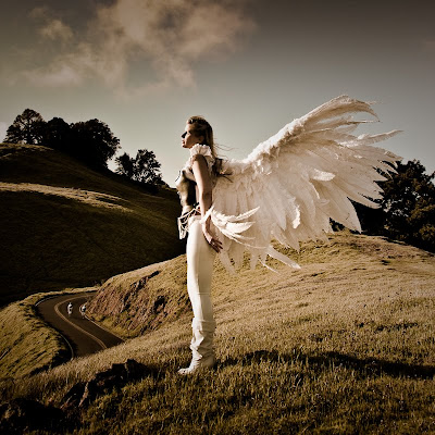 The Angel of Echelon