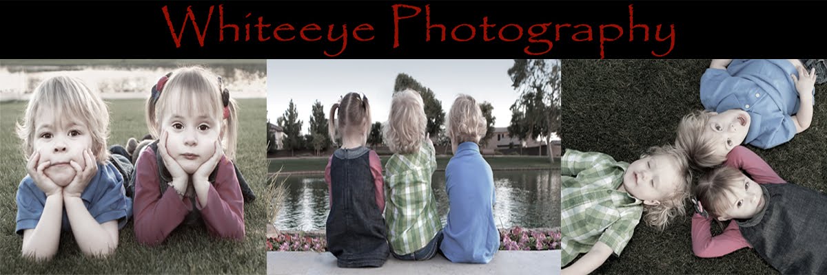 Whiteeye Photography