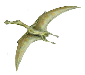 Ornithocheirus BW 8 Binatang Terbesar Sepanjang Sejarah