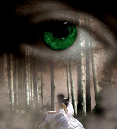 omniscient point of view,