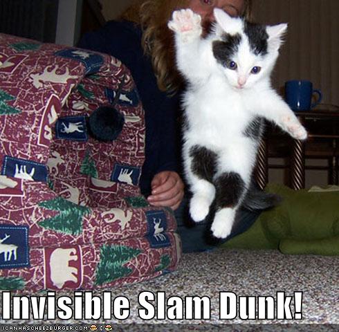 [lolcatdunk.jpg]