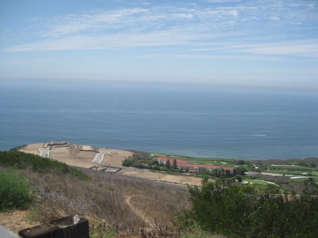 [IMG_2513.JPG]