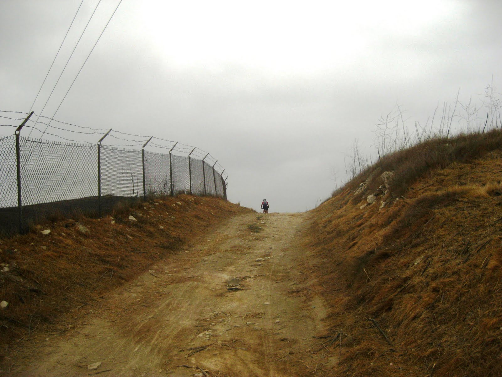 [IMG_0824.JPG]