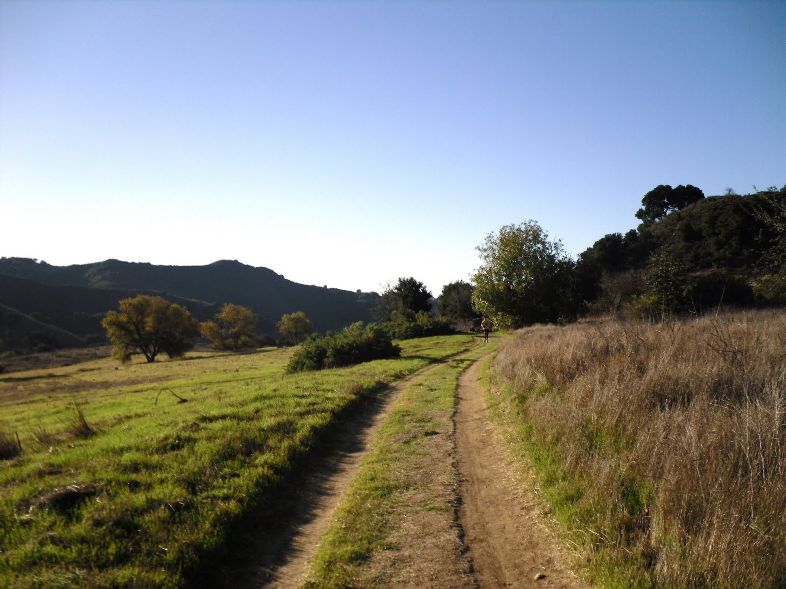 [SDC10598.JPG]
