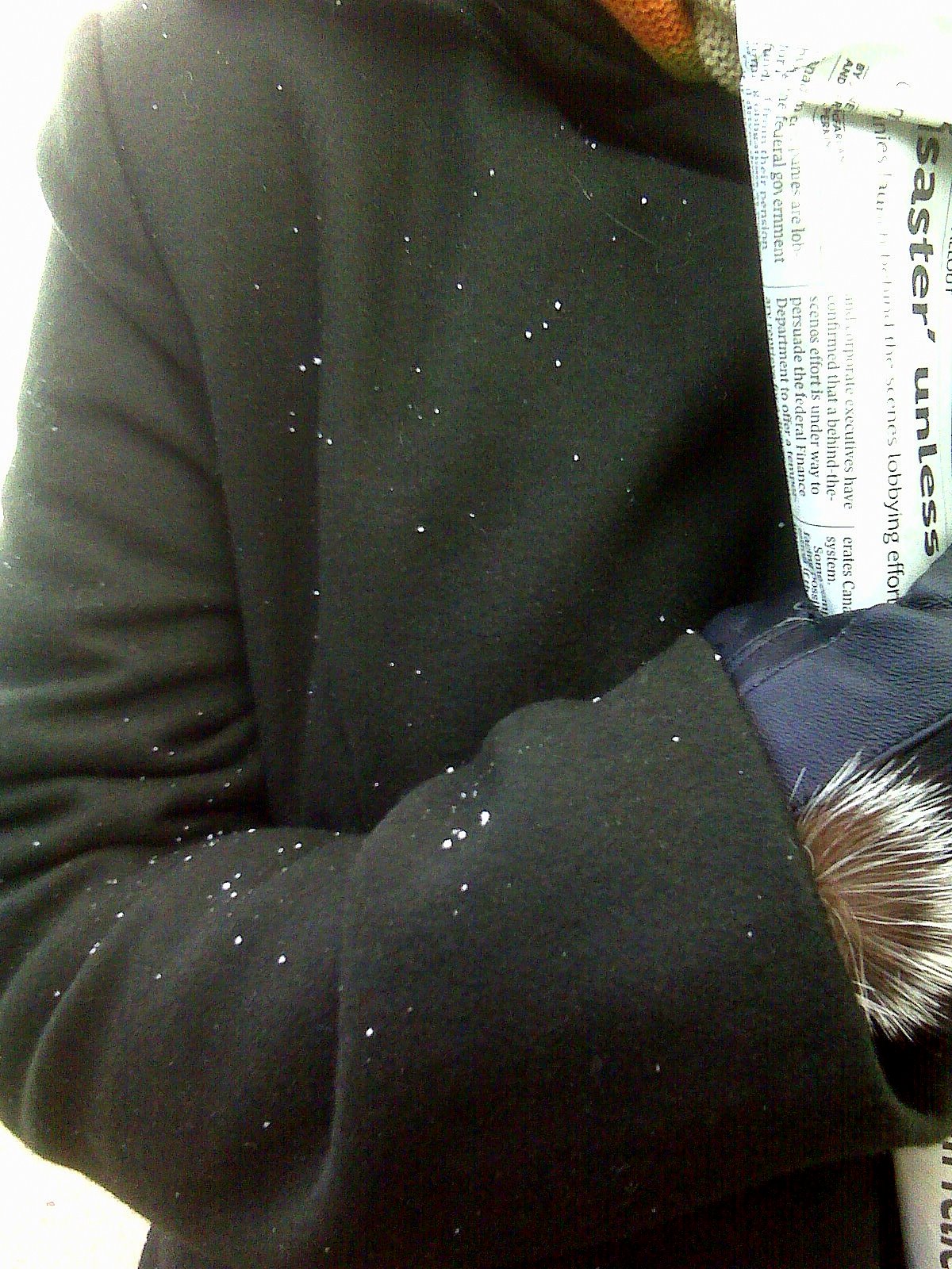 [snow+on+my+jacket.JPG]
