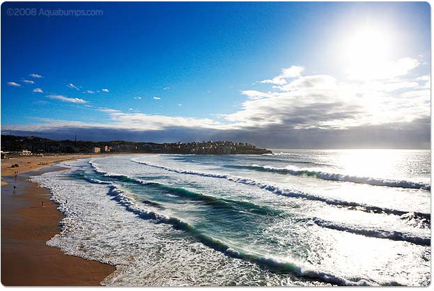 [20081124-new-swells.jpg]
