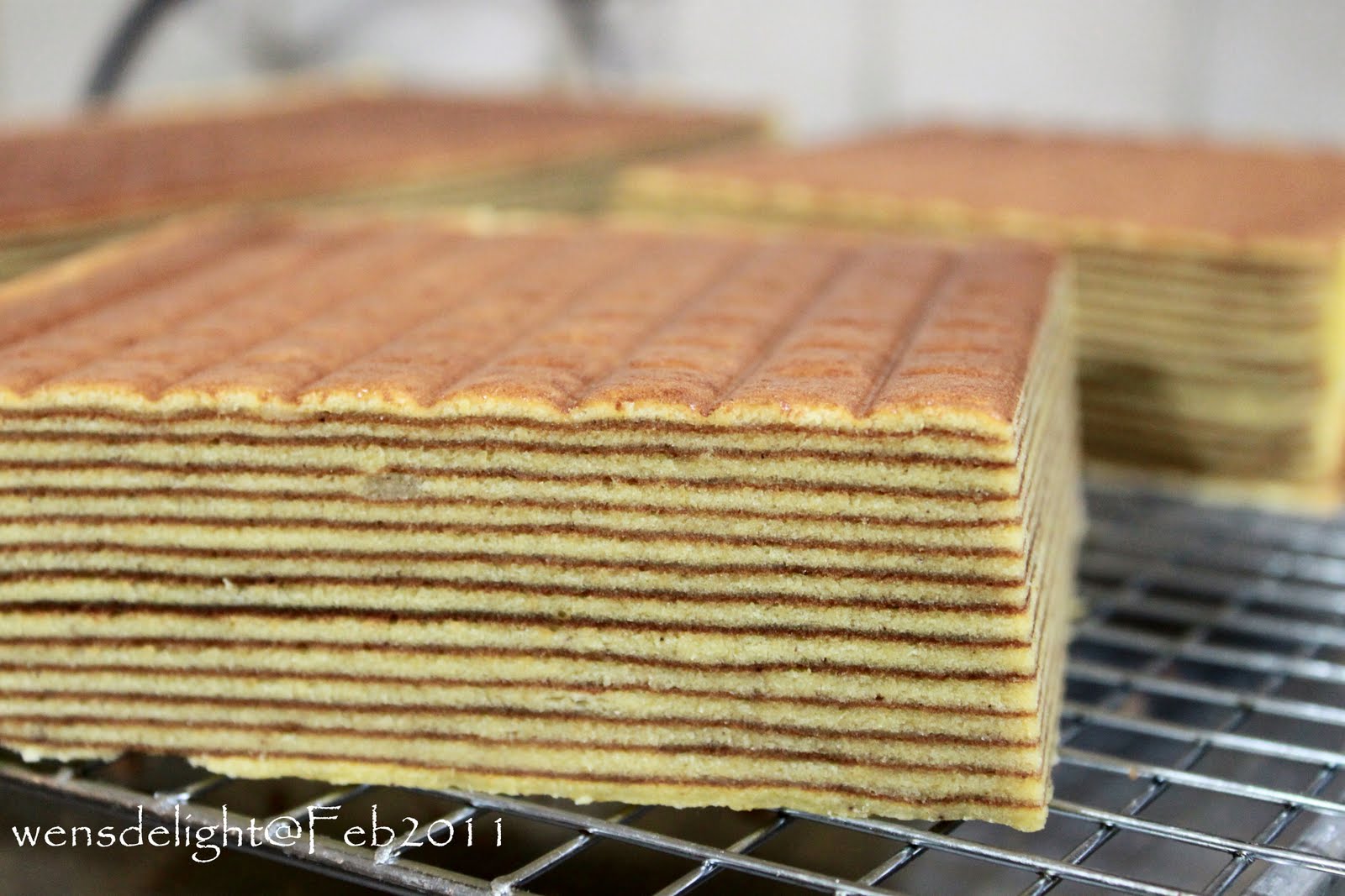 Wen's Delight CNY Bakes 2011 Kueh Lapis Wen's Delight CNY Bakes 2011 Kueh Lapis