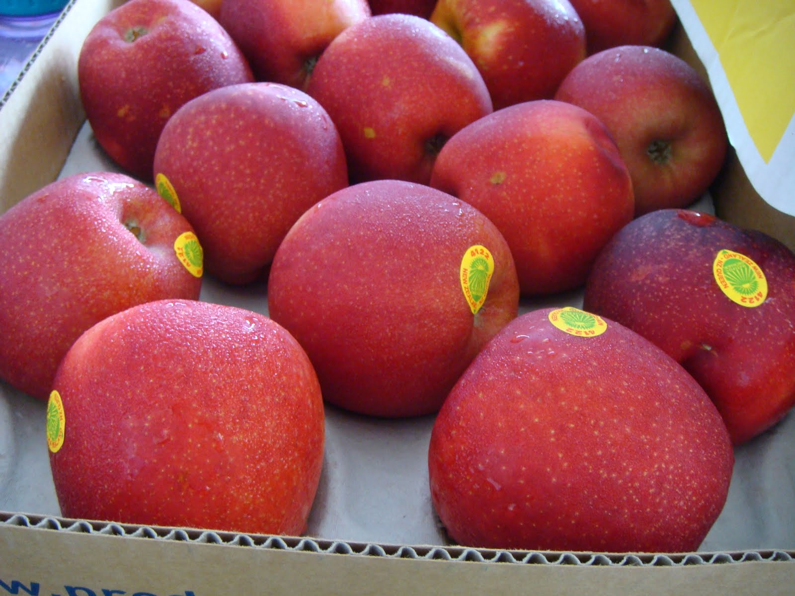 TCG & Sons Fruit Company *HIGHLIGHTS* NZ Queen Apple