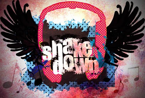 Shakedown 2010