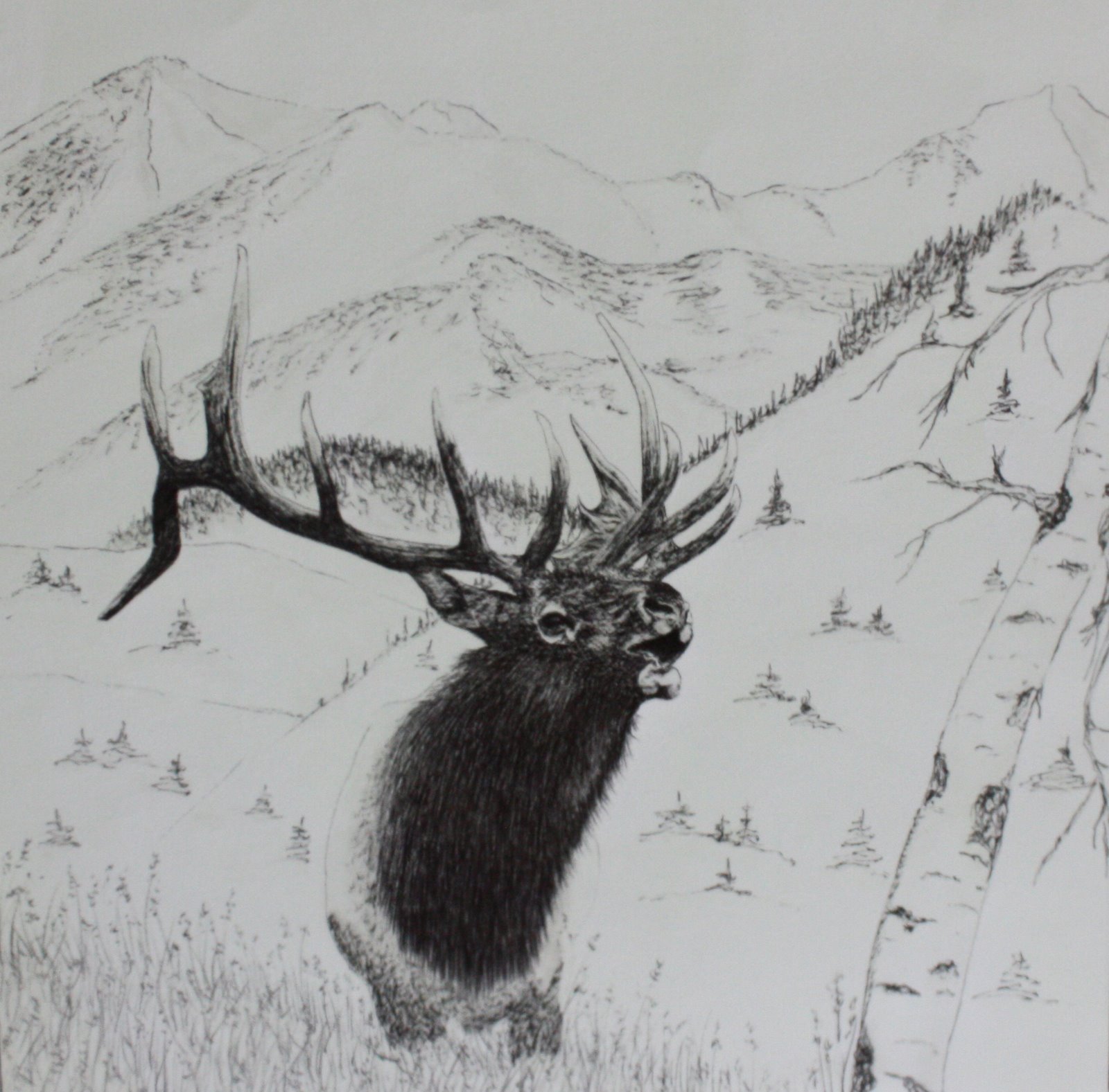 [Elk+hovers+above+mountain+background.jpg]