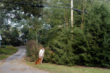 Natural Gardening: Children's gardens