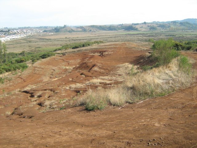 Uno de los accesos al cerro Ñielol