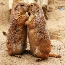  первый поцелуй 