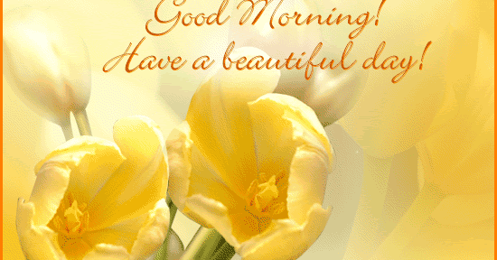 New Year Cards: Good Morning New Year Cards, Good Morning New Year Wishes