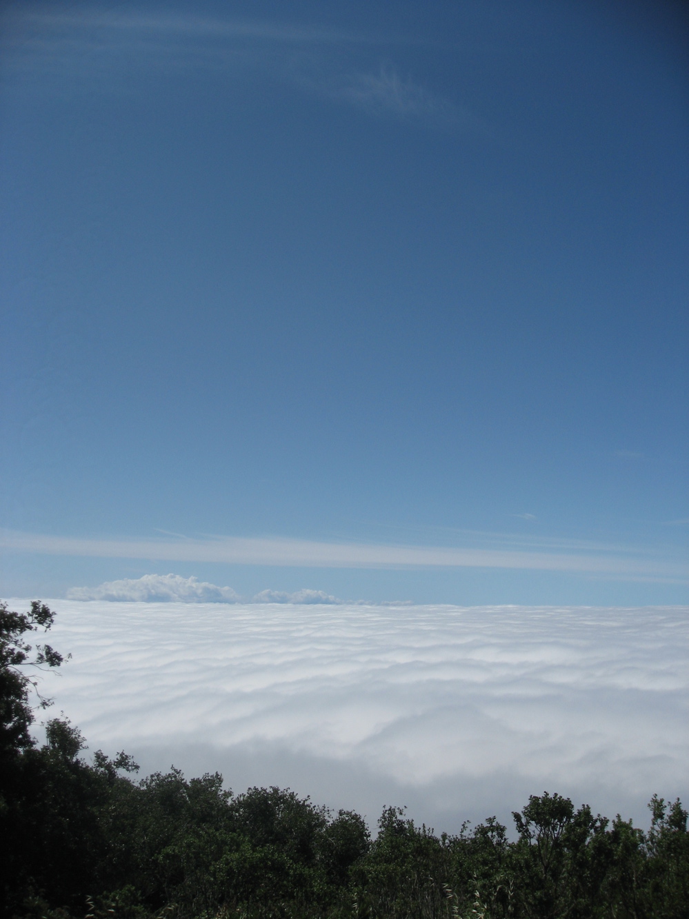 [fog+layer.JPG]