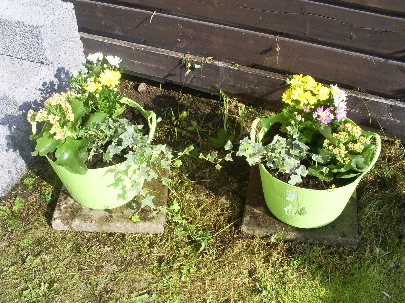 Smycka ditt hem: juni 2010