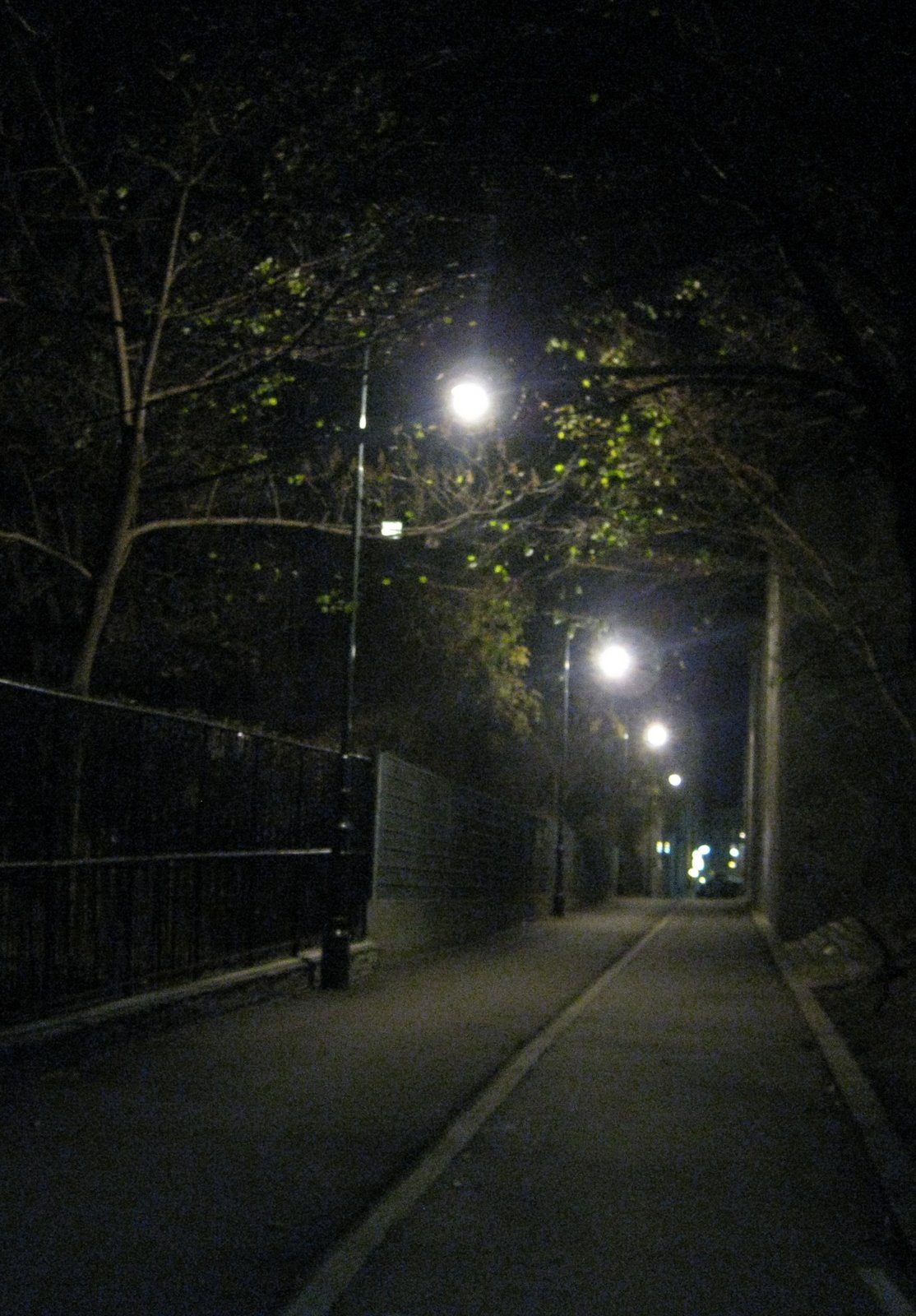 [IMG_0808_3.JPG]