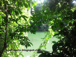 green river water,kallada river photo,river flowing aside deer-park,forest river,rivers of western ghats