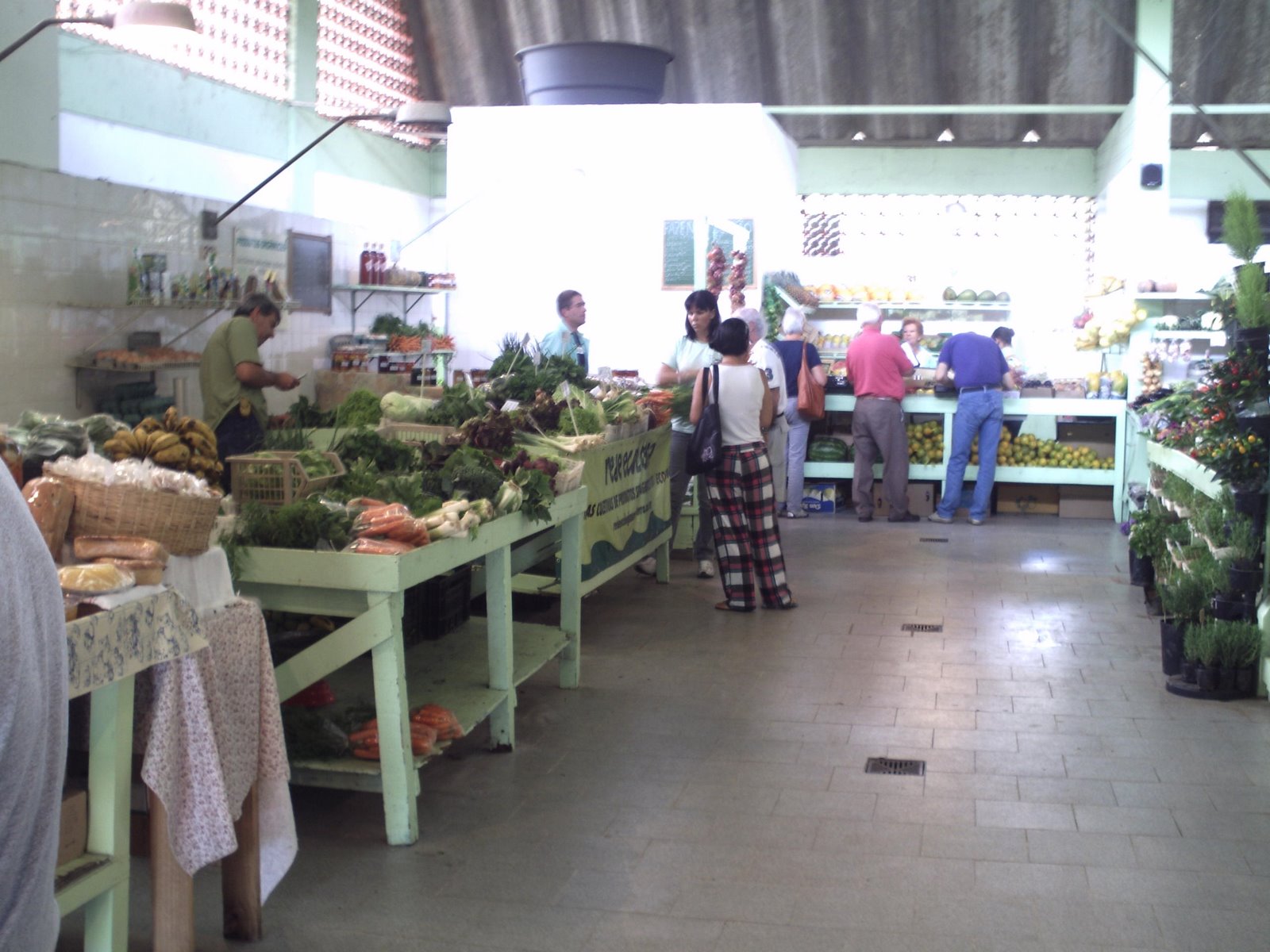 [PICT0490.JPG]