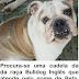 VAMOS PROCURAR A BELA URGENTE.......