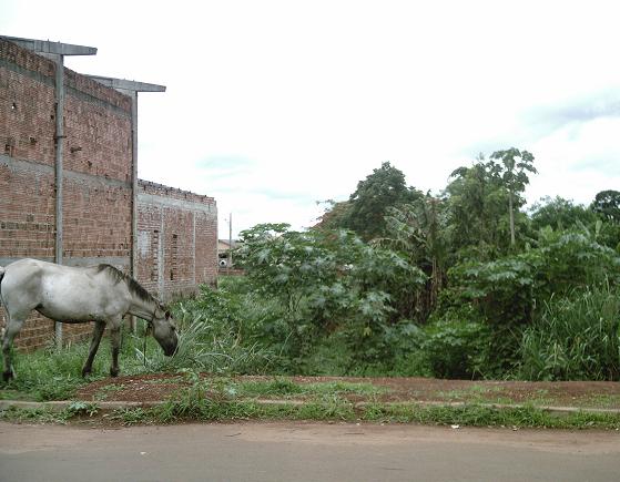 Construção de igreja Quadrangular está matando um córrego em Tangará