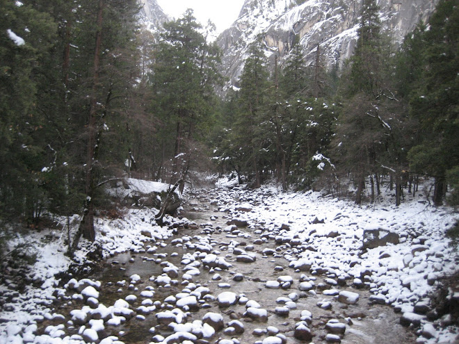 Snowy River - Yosemite